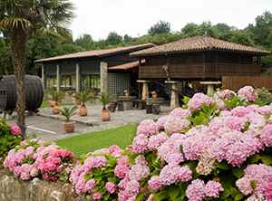 Accommodation in Colunga