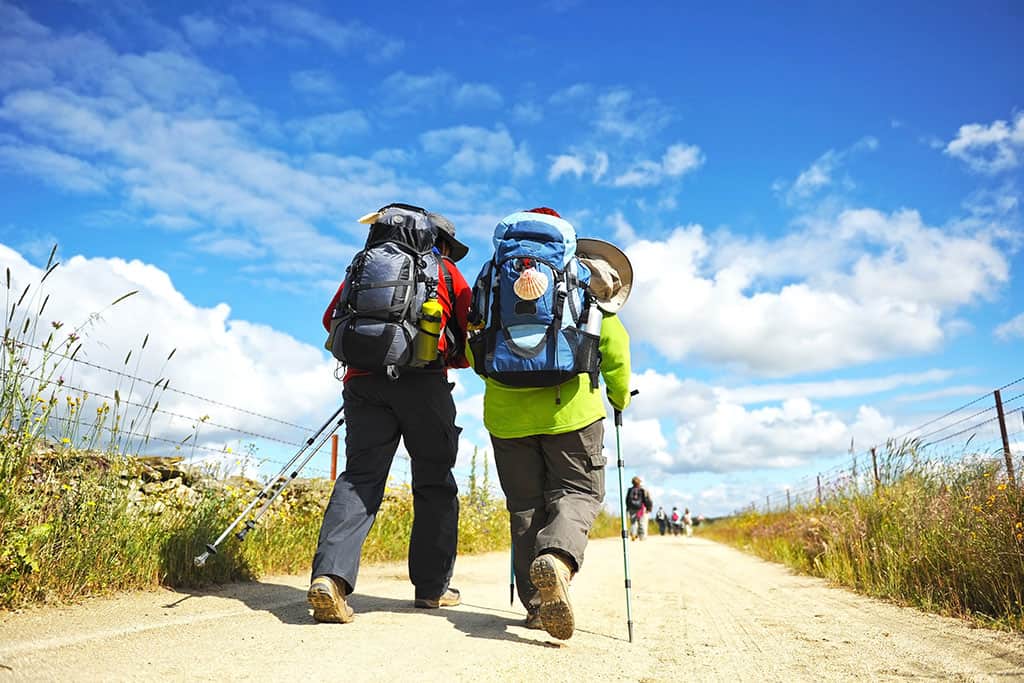 The Camino Frances From Sarria