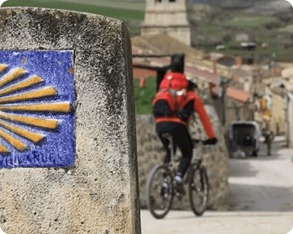 The Camino Frances From Sarria